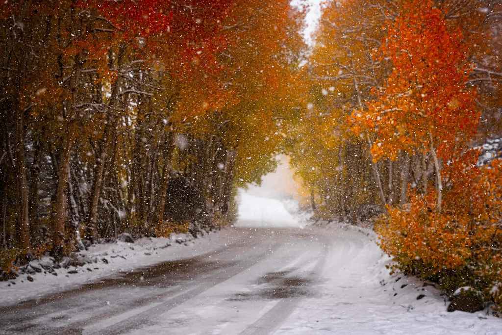A scenic, snowy road through a forest with colorful autumn trees, representing a challenging condition ideal for Nokian all-weather tires.